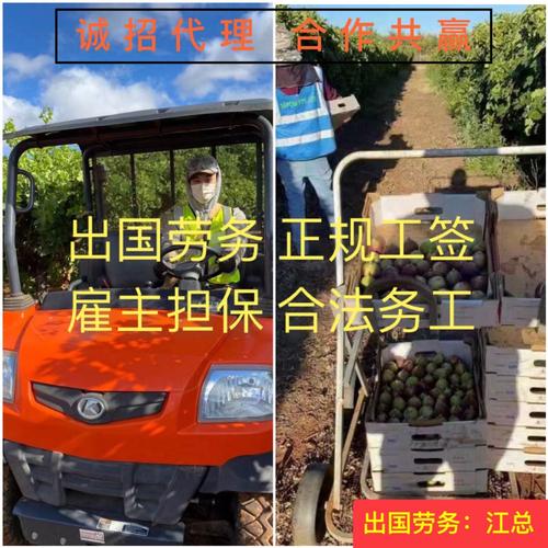 四川海聘劳务服务成立于2018年10月18日